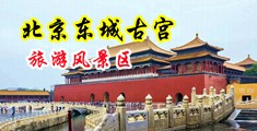 xvideos跳蛋中国北京-东城古宫旅游风景区